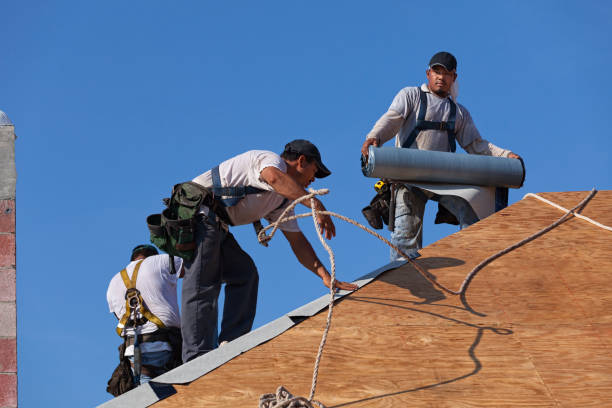 Best Roof Waterproofing Services  in Rose Lodge, OR