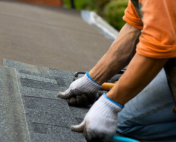 Best Gutter Installation and Roofing  in Rose Lodge, OR