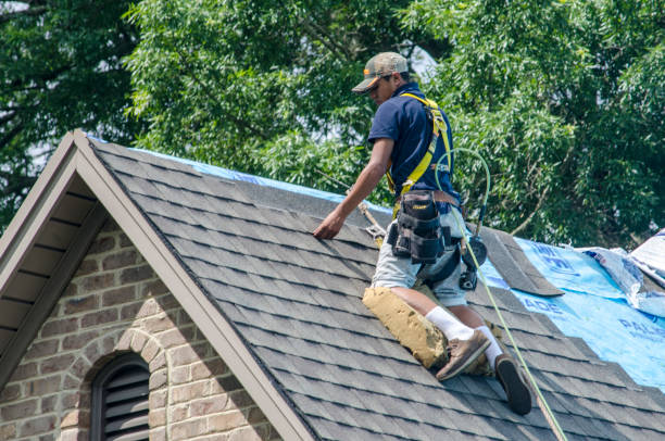 Best Roof Repair Services  in Rose Lodge, OR